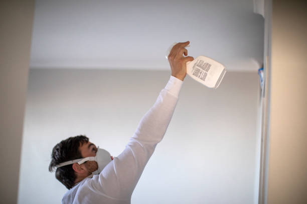 Best Office Mold Removal Services  in South Eliot, ME