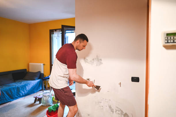 Best Residential Mold Removal  in South Eliot, ME
